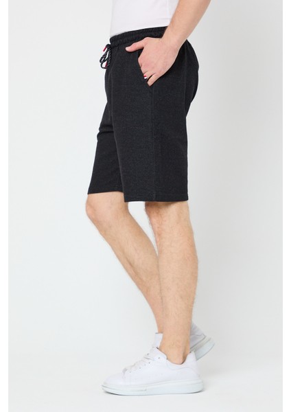 Erkek Siyah Regular Fit Şort & Bermuda fırsatları