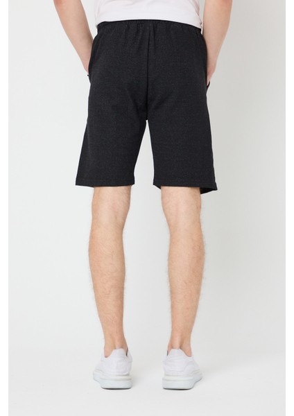 Erkek Siyah Regular Fit Şort & Bermuda indirimleri