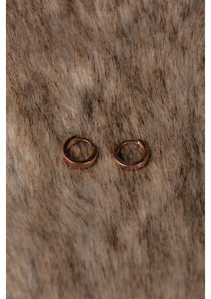 Halka Küpe Rose Altın Kaplama Kadın Gümüş Küpe 925 Ayar fırsatları