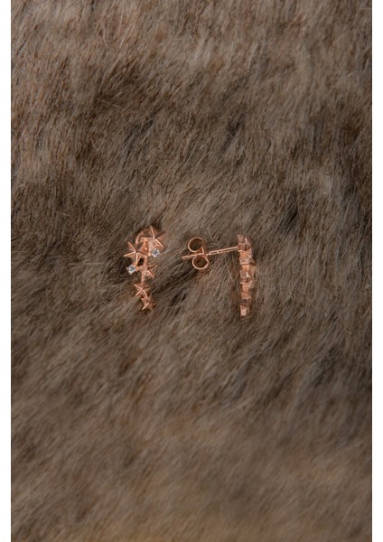 Rose Zirkon Taşlı Yıldızlı 925 Ayar Gümüş Vidalı Küpe modelleri