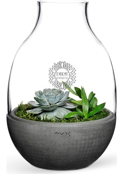 Kişiye Özel Eden Terrarium
