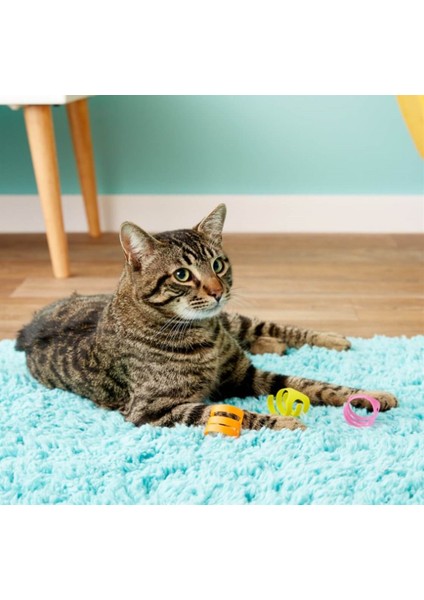 Looney Loops Kedi Oyuncağı