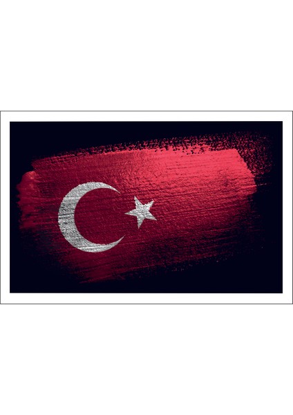 Türk Bayrağı Ay Yıldız Sticker 00935