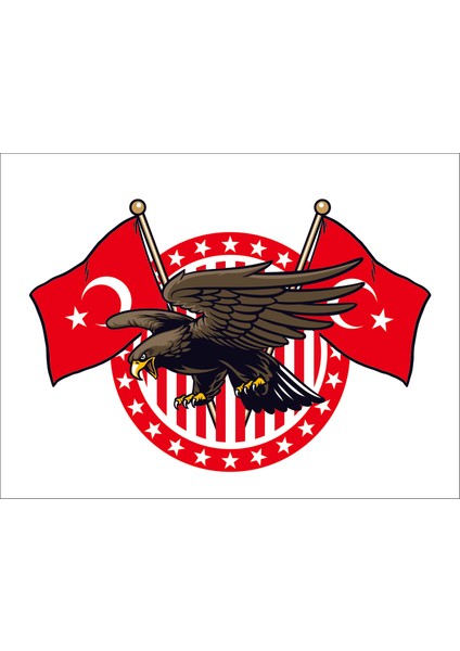Kartal Türk Bayrağı Ay Yıldız Sticker 00943