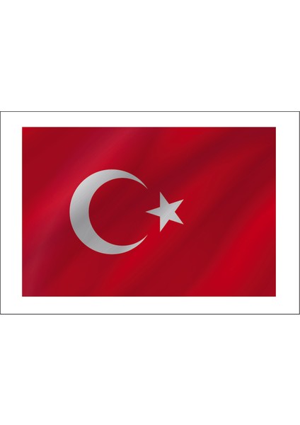 Türk Bayrağı Ay Yıldız Türkiye Sticker 00969