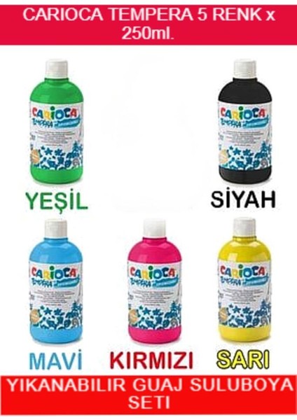 Tempera Süper Yıkanabilir Guaj Sulu Boya Seti 5 Renk x 250 ml