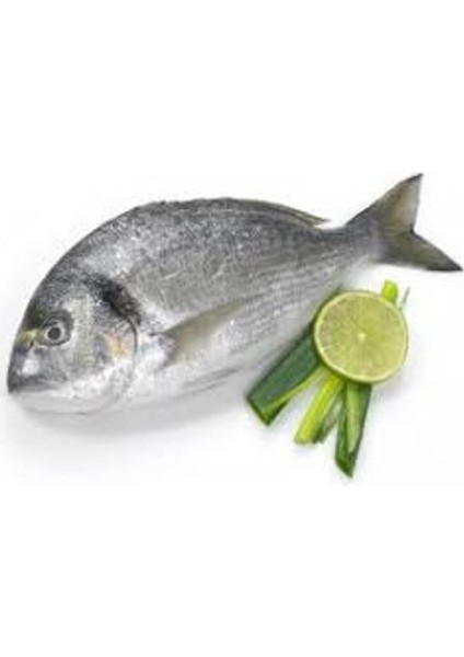 Balık Cupra 1 kg
