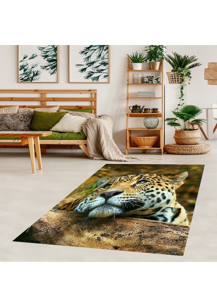 Leopar Desenli Dijital Baskılı Kaymaz Taban Yıkanabilir Modern Salon Halısı