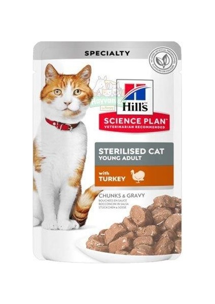 Pouch Hindi Etli Kısırlaştırılmış Kedi Konserve Maması 85 gr x 12