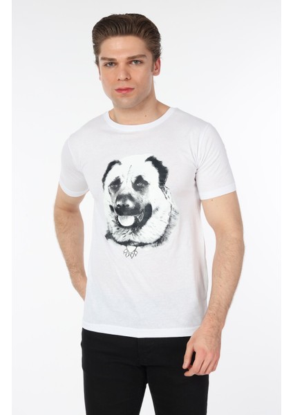 Kangal Köpeği Tasarımlı T-Shirt indirimleri