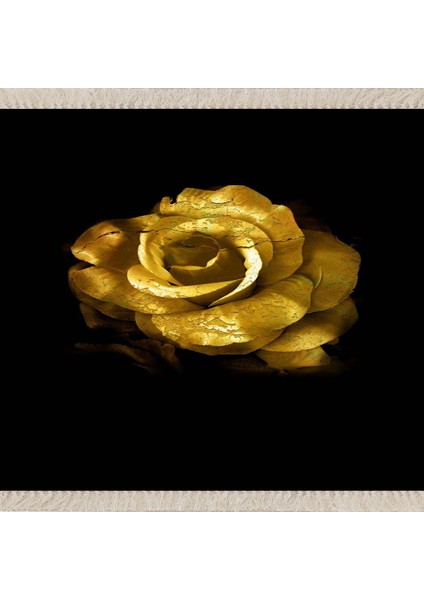 Gold Gül Siyah Zeminli Desenli Dijital Baskı Yıkanabilir Kaymaz Taban Salon Halısı ve Yolluk fiyatları