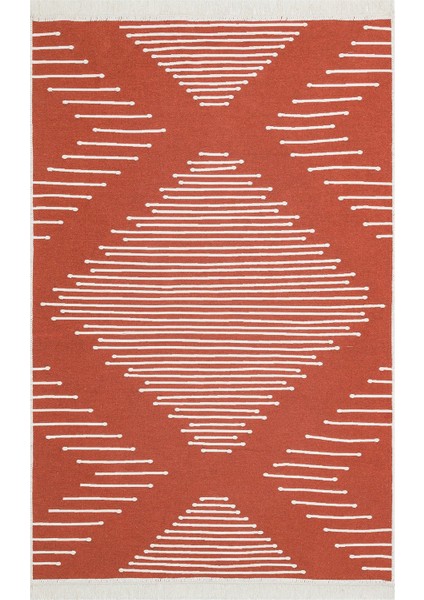 Arya Ar 15 Terra Eko Halı