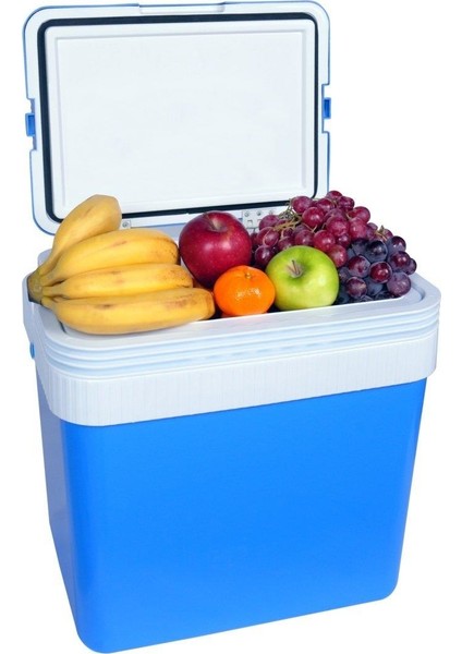 Icepeak SF26 Taşıma Çantası Buzluk 26 Litre