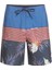 Everyday Division 17 Erkek Boardshort EQYBS04580 3