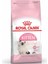 Kitten Yavru Kuru Kedi Maması 2 kg 4