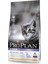 Proplan Kitten Yavru Kuru Kedi Maması 3 kg 1