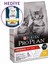 Proplan Kitten Yavru Kuru Kedi Maması 3 kg 5