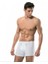 Erkek Boxer 1428 Beyaz 1