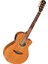 AGX290 Ns Elektro Akustik Gitar 2