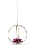 5557805 Swarovski Biblo Garden Tales:ball Ornament Rose L 1