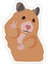 Peace N Luv Hamster Sticker Araba Oto Arma Duvar Ev Dekoratif Laptop Araba Çıkartma 15 cm 1