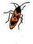 Ürkütücü Böcek Sticker Araba Oto Arma Duvar Sticker Ev Dekoratif Çıkartma 15 cm 1
