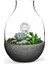 Kişiye Özel Eden Terrarium 1