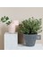 Modern Feel Multisurface Kendinden Vernikli Akrilik Boya 3