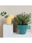 Lemon Drop Multisurface Kendinden Vernikli Akrilik Boya 3