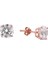 Tektaş 6 mm 18 Ayar Rose Altın Kaplama Gümüş Küpe 1
