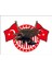 Kartal Türk Bayrağı Ay Yıldız Sticker 00943 1