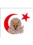 Kartal Türk Bayrağı Ay Yıldız Sticker 00946 1