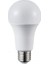 Elit LED 9W Beyaz Ampul 1
