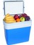 Icepeak SF26 Taşıma Çantası Buzluk 26 Litre 1