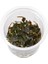 Cryptocoryne Wendtii Brown In Vitro 200CC Canlı Bitki 1