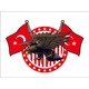 Seçili Renk Renkli