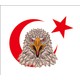 Seçili Renk Renkli