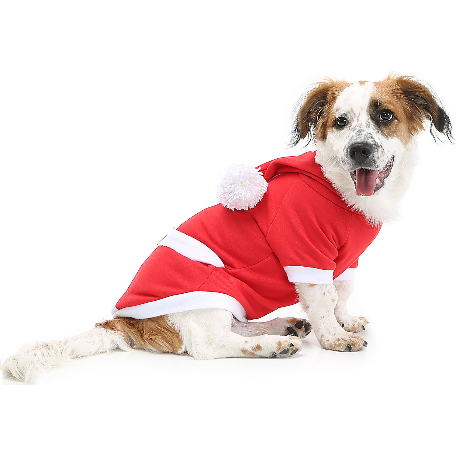 Dogi Dog Noel Baba Kopek Kiyafeti Kopek Elbisesi Kedi Fiyati