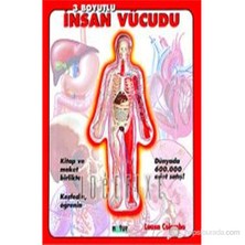 3 Boyutlu İnsan Vücudu