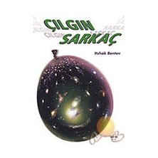 Çılgın Sarkaç - Itzhak Bentov