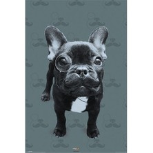 Pyramid International Maxi Poster - It's A Wildlife Francoise