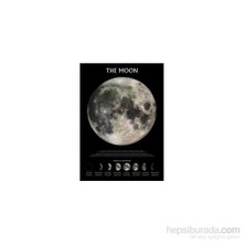 Maxi Poster The Moon Phases