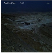 Anat Fort Trio - And If