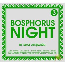 Bosphorus Night-3 By Suat Ateşdağlı