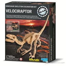 4M Velociraptor