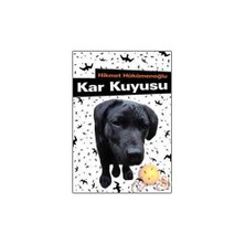 Kar Kuyusu - Hikmet Hükümenoğlu