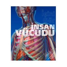İçini Gör İnsan Vücudu