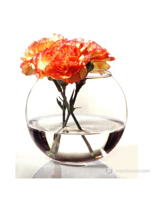 Paşabahçe Botanıca Akvaryum Vazo Yerli Üretim 825 cc Yükseklik 102.5 mm Ağız Çapı 80 mm