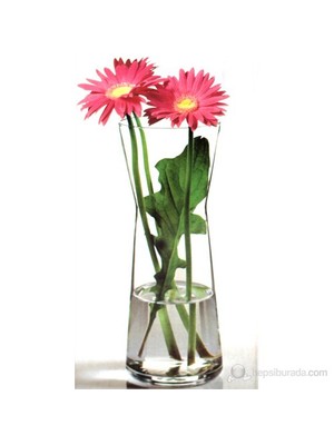 Paşabahçe Flora Vazo