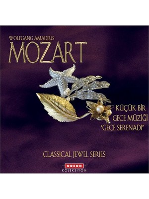 Wolfgang Amadeus Mozart -  Küçük Bir Gece Müziği (Gece Serenadı)